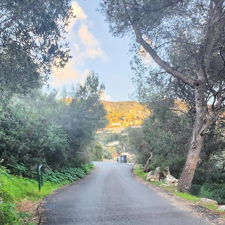 Le Mas D'Angeline, Vue Mer, Jardin Commun, Parking, Voiture Requise, 10 Min En Voiture De Monaco, Route Etroite, Pente Raide, Croisement Limite, Sea View, Shared Garden, Parking, Car Required, 10 Min Drive From Monaco, Narrow Steep Road, Limited Pass Beausoleil Εξωτερικό φωτογραφία