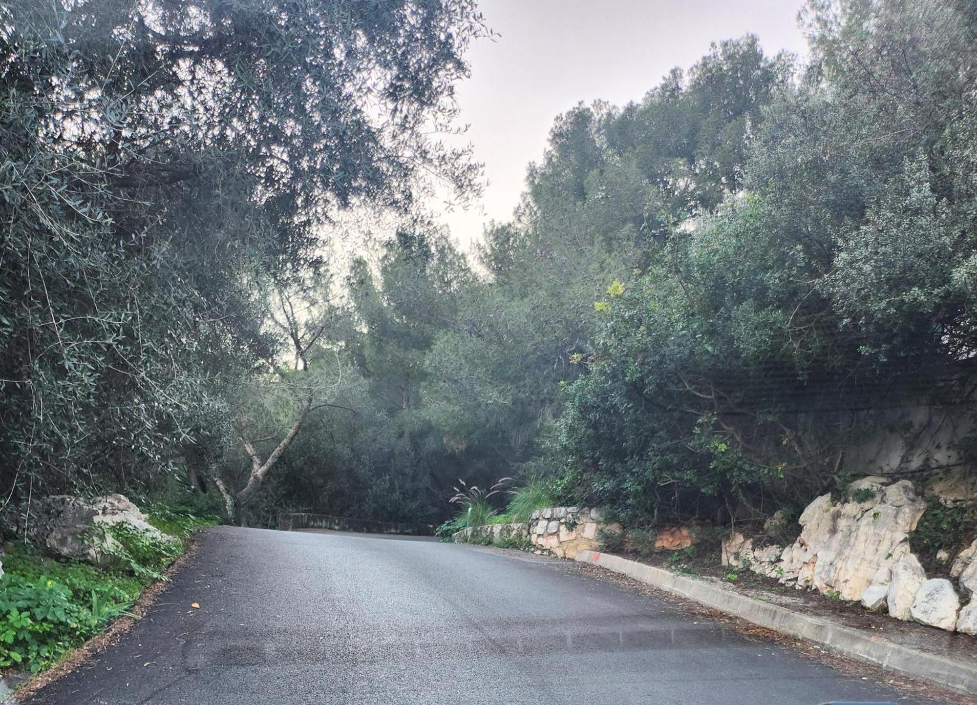 Le Mas D'Angeline, Vue Mer, Jardin Commun, Parking, Voiture Requise, 10 Min En Voiture De Monaco, Route Etroite, Pente Raide, Croisement Limite, Sea View, Shared Garden, Parking, Car Required, 10 Min Drive From Monaco, Narrow Steep Road, Limited Pass Beausoleil Εξωτερικό φωτογραφία
