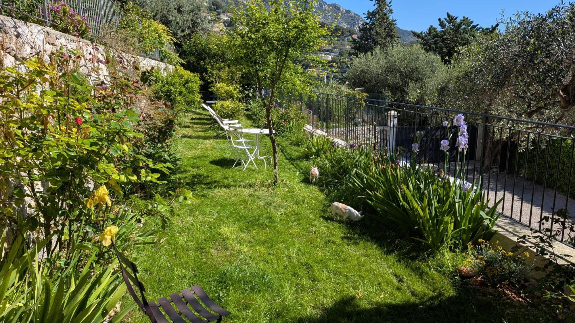 Le Mas D'Angeline, Vue Mer, Jardin Commun, Parking, Voiture Requise, 10 Min En Voiture De Monaco, Route Etroite, Pente Raide, Croisement Limite, Sea View, Shared Garden, Parking, Car Required, 10 Min Drive From Monaco, Narrow Steep Road, Limited Pass Beausoleil Εξωτερικό φωτογραφία